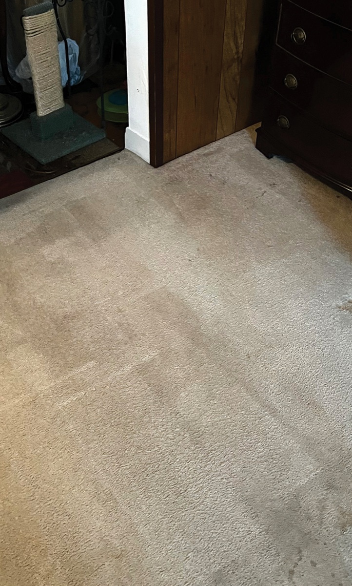 Carpet beside a doorway after cleaning