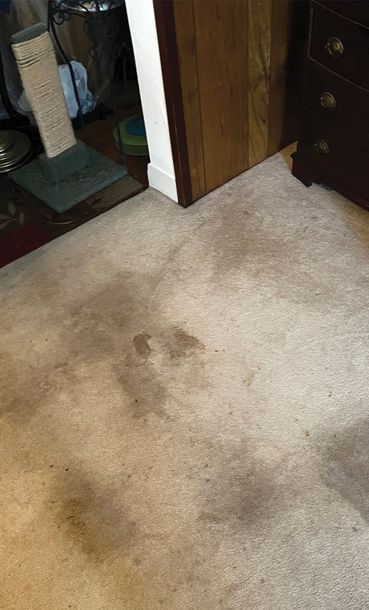 Carpet beside a doorway before cleaning