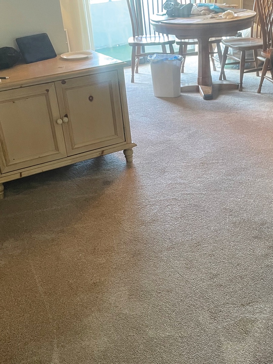 Dining room carpet after cleaning